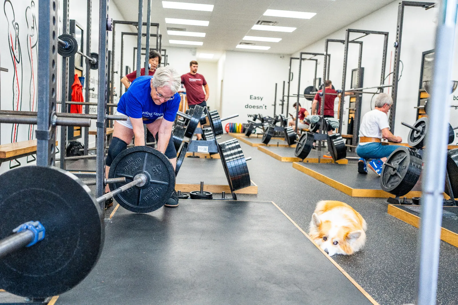 A group of older adults strength training together on the floor of a Starting Strength gym